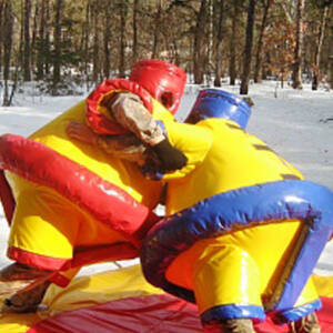 borba-sumo
